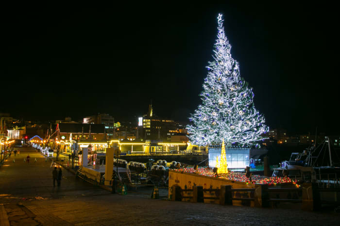 Hakodate Bay Area Travel Japan Jnto