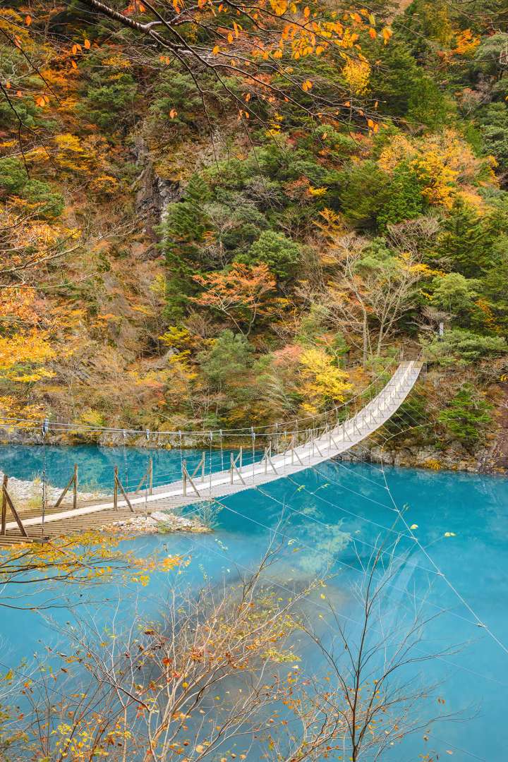 Chasing Colours Autumn Leaves On A Budget Blog Travel Japan Japan 