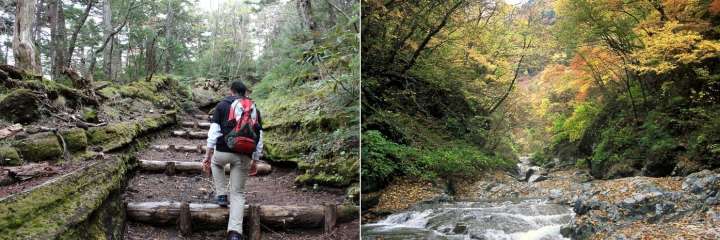 the breathtaking landscapes surrounding Mt. Fuji