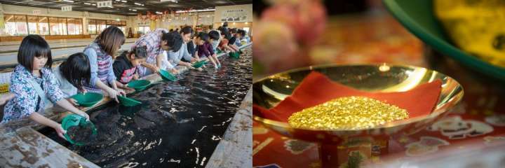 shaking off the sand in your strainer and collect gold