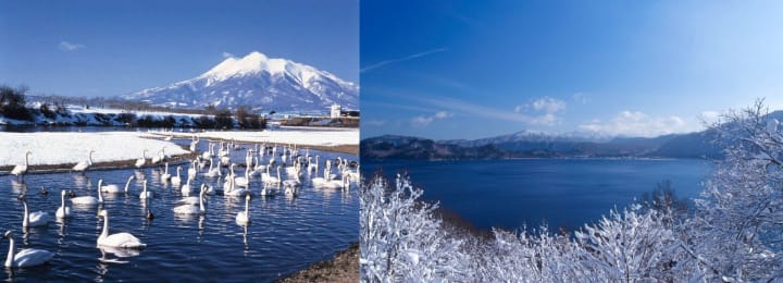 Heading To Aomori Guide To Must See Attractions And Flavourful