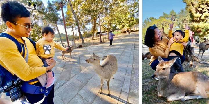 the winner and deer in Nara park