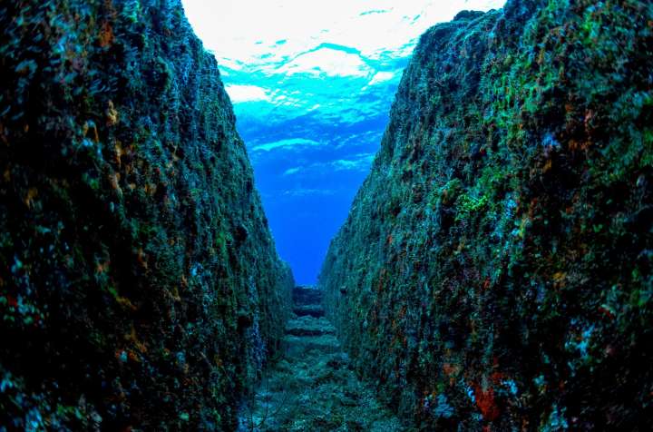 diving in okinawa yonaguni