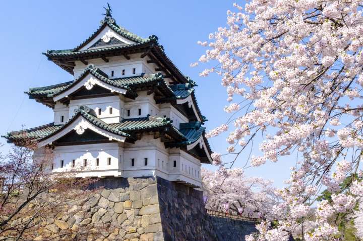 cherry blossom viewing at spots near the famous castles