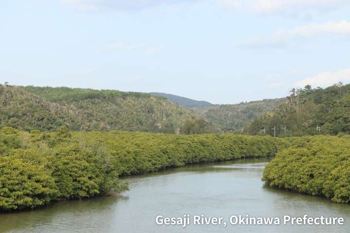 Gesaji river in Okinawa Prefecture