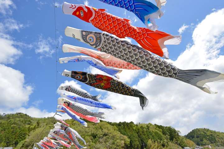 the carp a symbol of the holiday