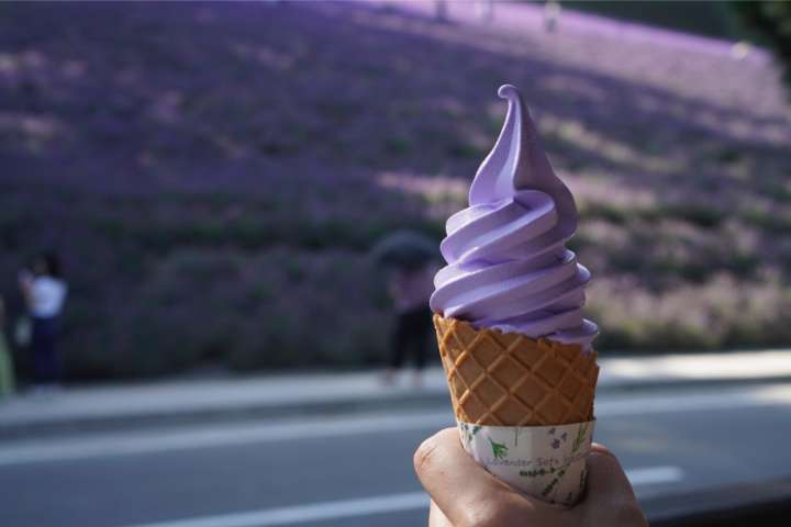 Lavender Soft Cream