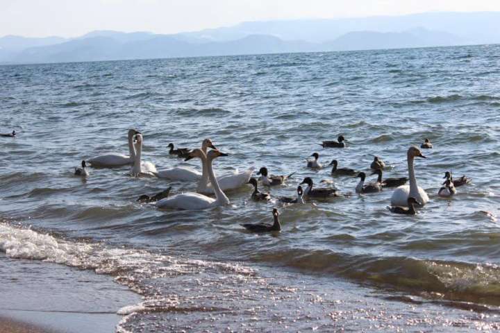 Inawashiro Lakeside