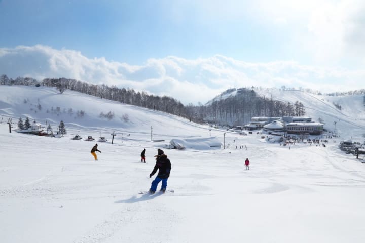 the Highest Number of Ski Resorts in Japan? Top-Rated Ski Resorts!!!