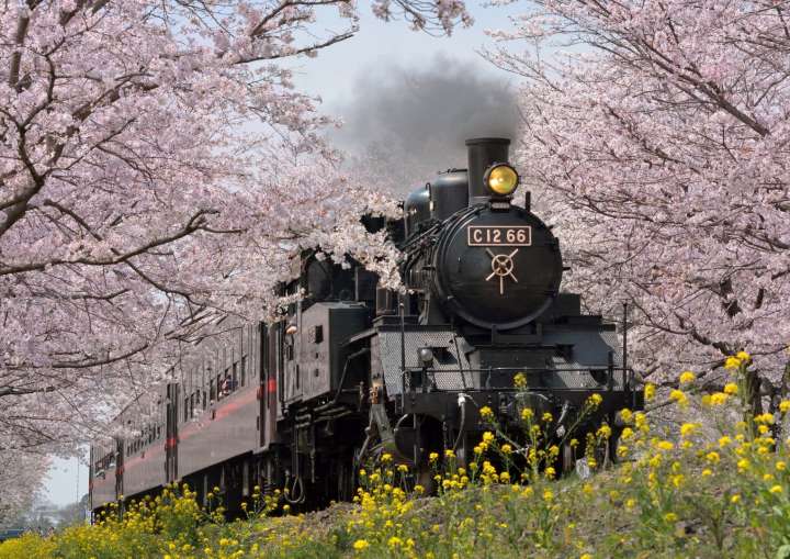 Steam Locomotive