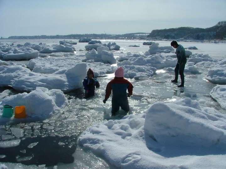 Drift Ice (Ryuhyo) Cruise in Hokkaido- the Wonder Only in Japan 