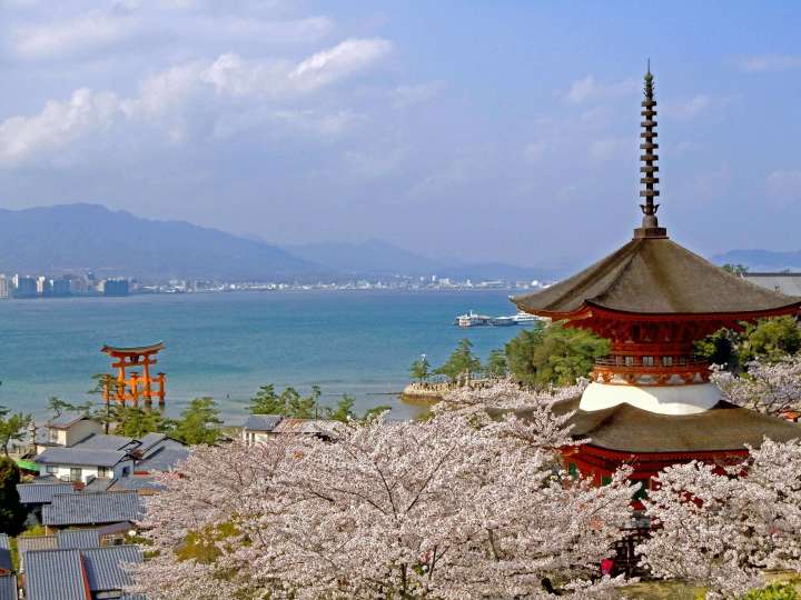 Hiroshima’s sakura (cherry blossom) season