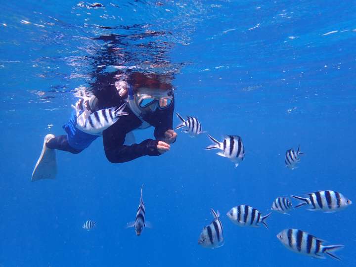 diving in okinawa