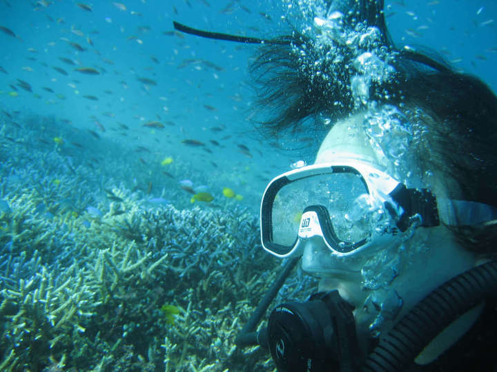 Diving in Okinawa