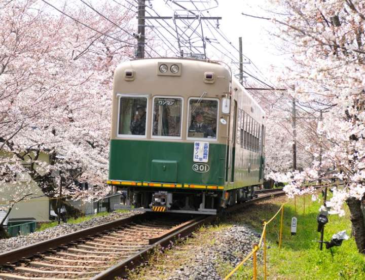 the train during Hanami