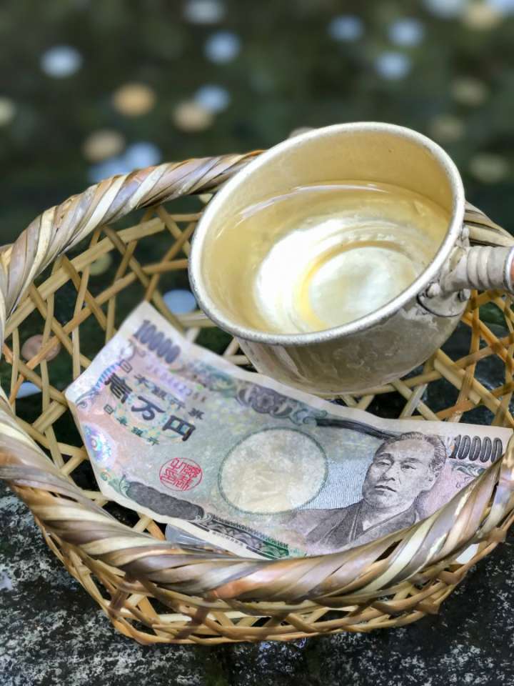 the special strainer basket for washing bills and coins