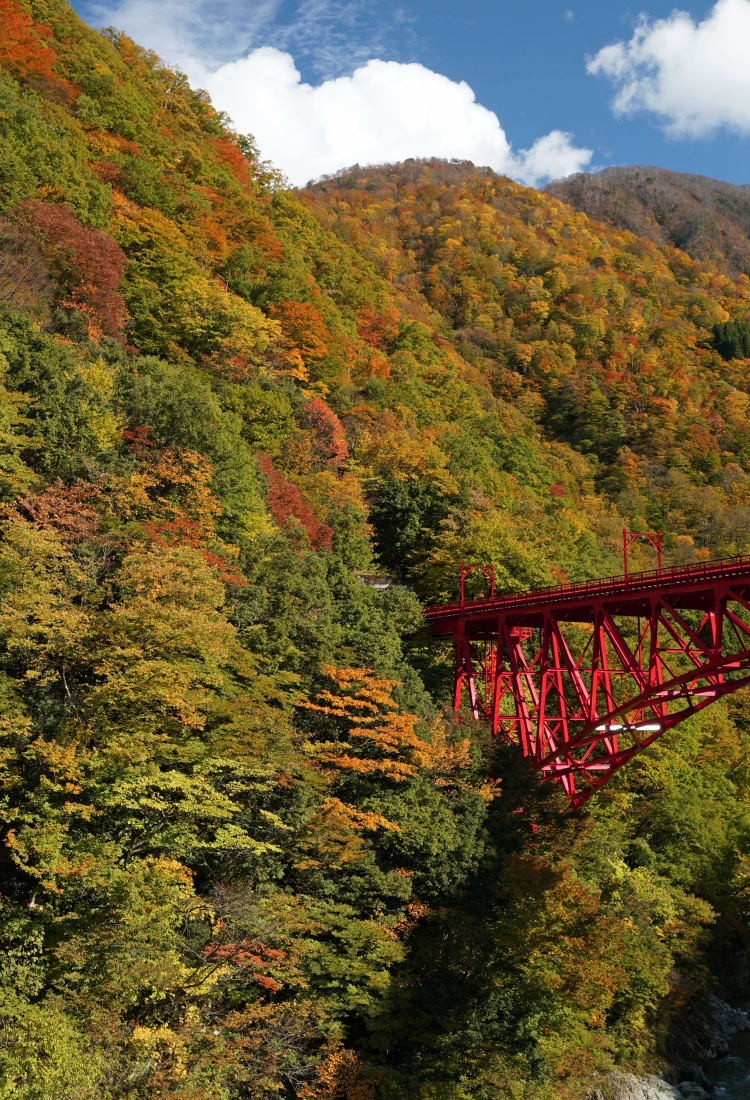 L'autunno colorato in Giappone