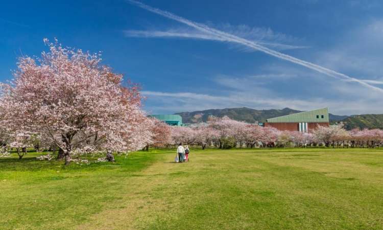 สวนสาธารณะคะกะมิโนะ (Kagamino Park)