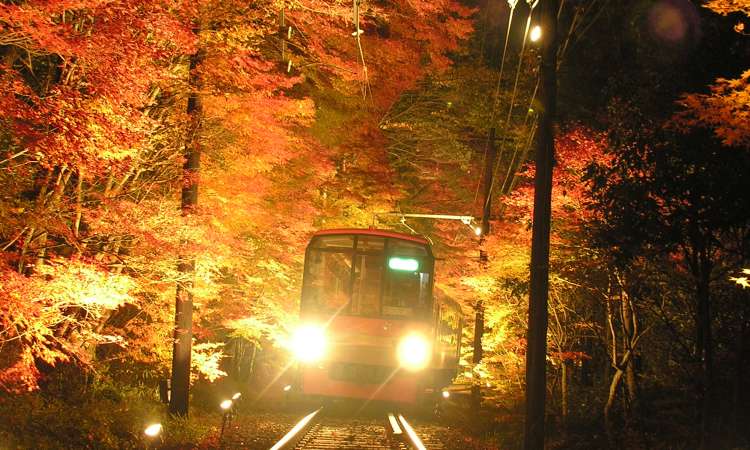 ขบวนพาโนราม่า คิราระ (Panorama Train KIRARA)