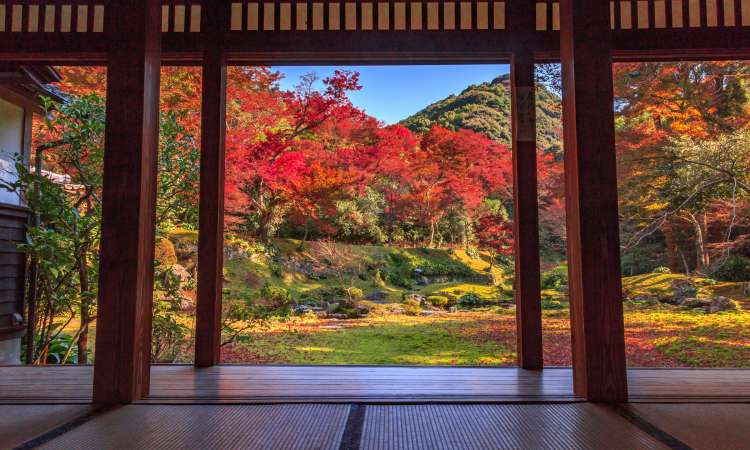 สวนคิโยมิซุเดะระ ฮนโบ (Kiyomizudera Honbo Garden)