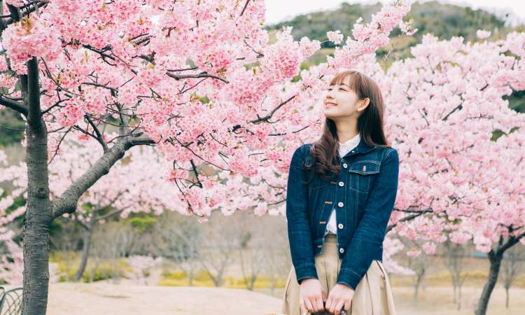 การแต่งกายฤดูใบไม้ผลิ