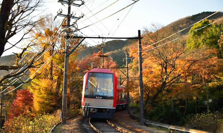 รถไฟฮาโกเนะโทซัง (Hakone Tozan Railway)
