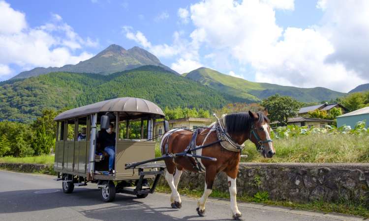 รถม้าทสึจิบะชะ (Tsujibasha)