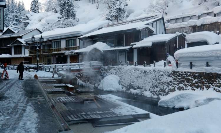 วาราชิยุ (Warashiyu)