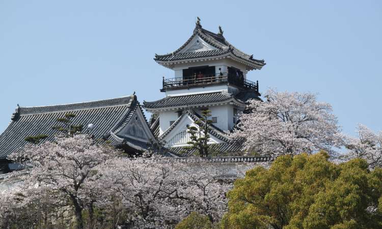 ปราสาทโคจิ (Kochi Castle)