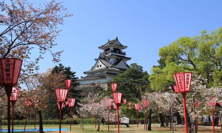 ปราสาทโคจิ (Kochi Castle)