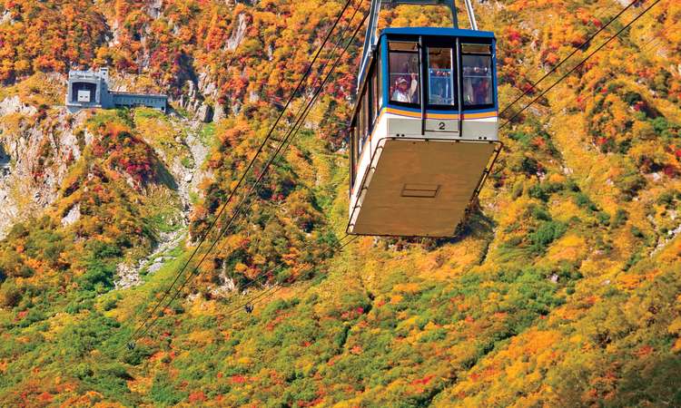 กระเช้าไฟฟ้าทาเตยามะ (Tateyama Ropeway) , โทยามะ (Toyama)