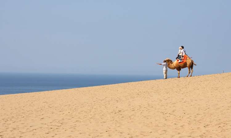 เนินทรายทตโตริ (Tottori Sand Dunes)