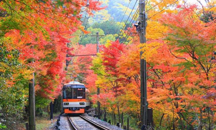 รถไฟพาโนราม่า คิราระ (panorama KIRARA)