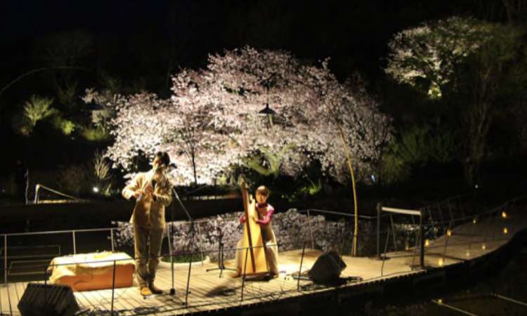 สวนพฤกษศาสตร์มะคิโนะ (The Kochi Prefectural Makino Botanical Garden)