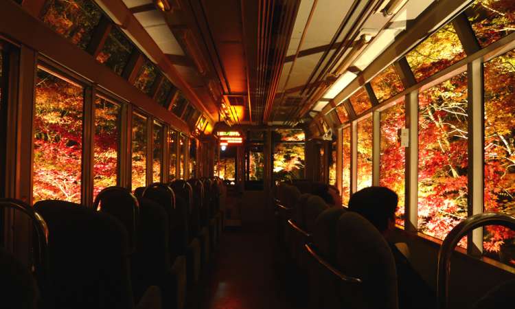 ขบวนพาโนราม่า คิราระ (Panorama Train KIRARA)