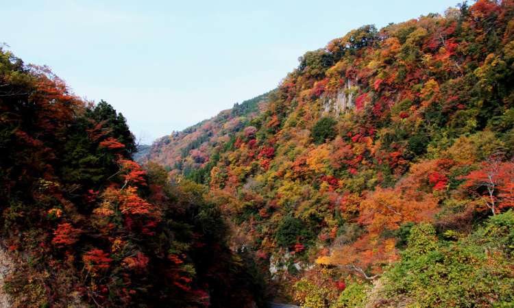 หุบเขาคิวซุยเค (Kyusuikei Valley)