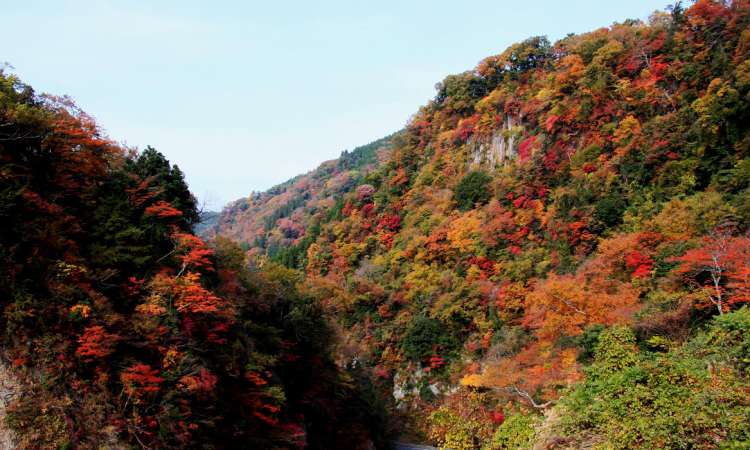 หุบเขาคิวซุยเค (Kyusuikei Valley)