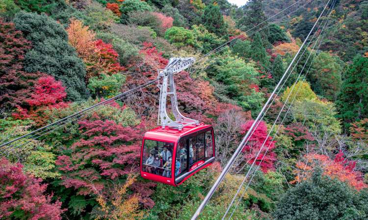 กระเช้าลอยฟ้ารกโค อะริมะ (Rokko Arima Ropeway), เฮียวโกะ (Hyogo)