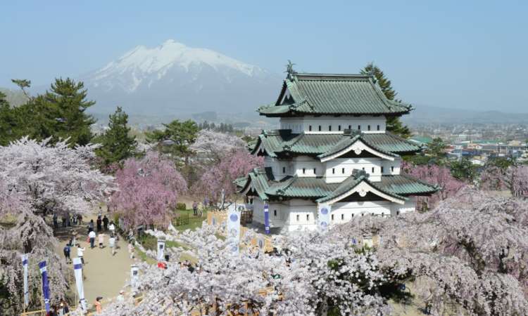 สวนปราสาทฮิโรซากิ (hirosaki park)