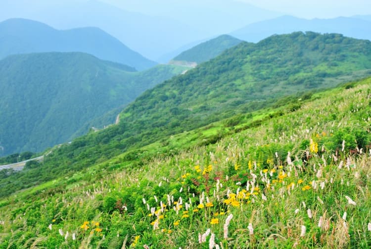 Mt. Ibuki Shiga Japan Hiking & Trekking JNTO