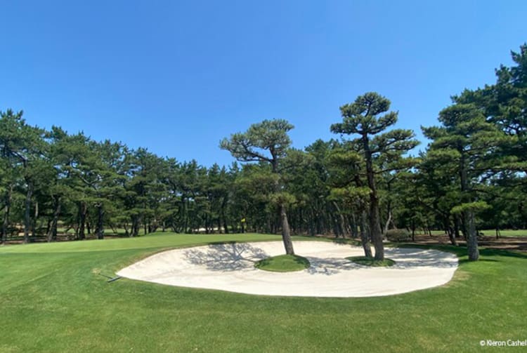 Phoenix Country Club