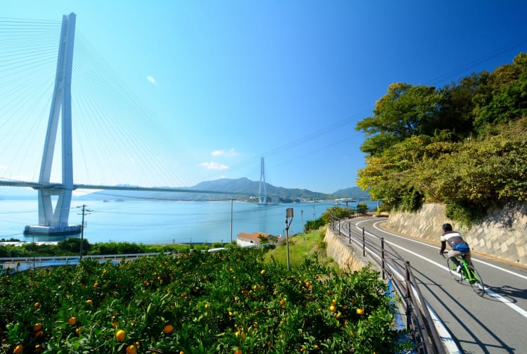 Shimanami Kaido Cycling Road