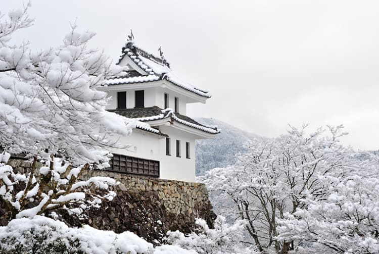 郡上八幡城