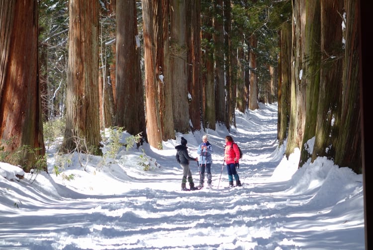 Snowshoeing in Togakushi