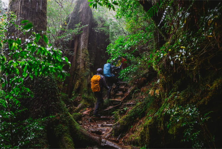 Yakushima