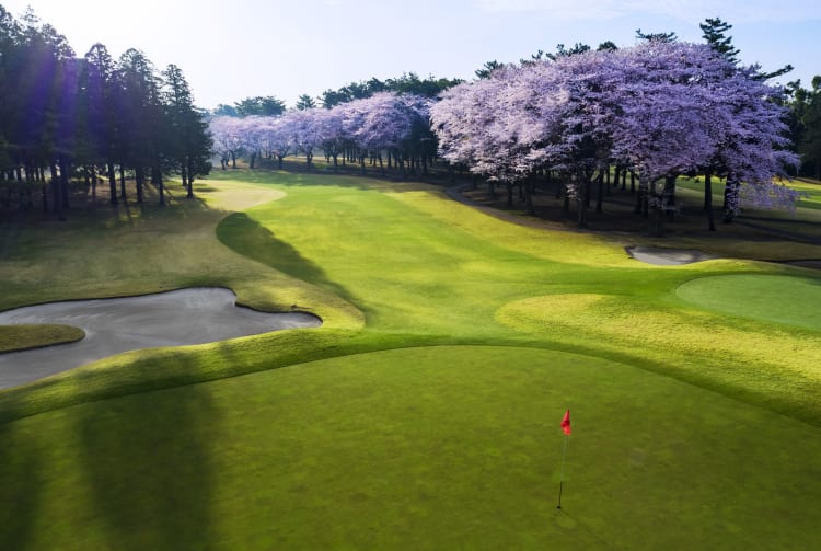 Accordia Golf Narashino Country Club