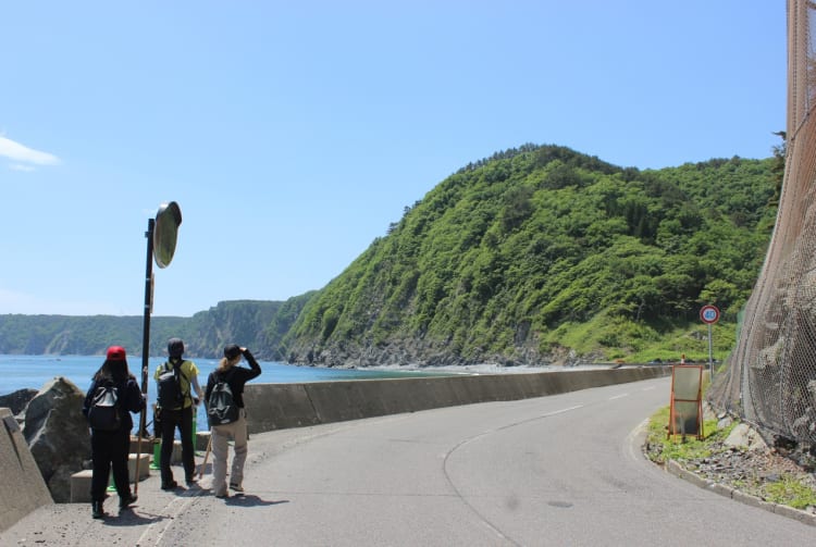 Michinoku Coastal Trail