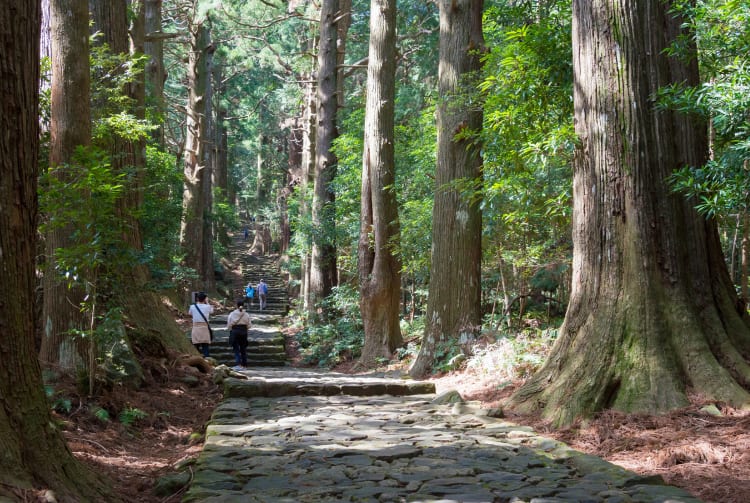 Kumano Kodo