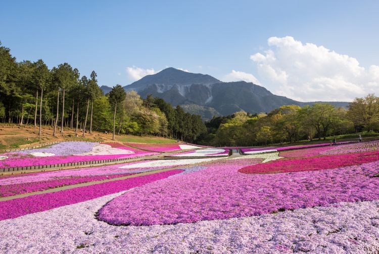 is it okay to visit japan in may