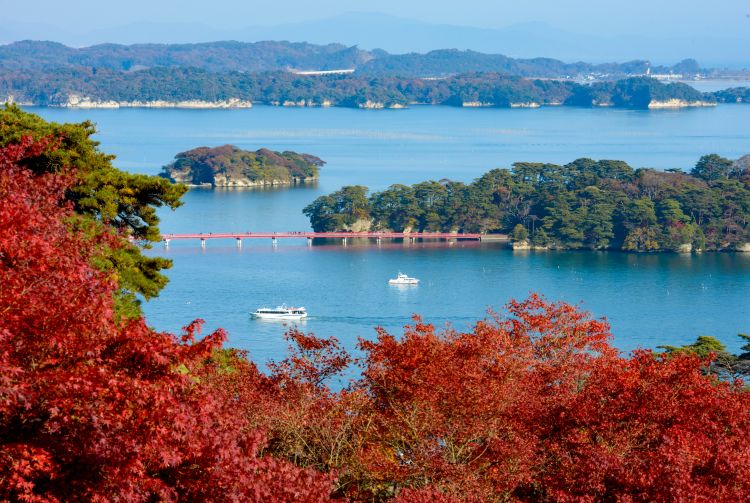 matsushima cruise winter